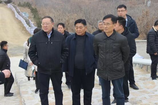 山东省自然资源厅调研泰山黄精产业发展情况